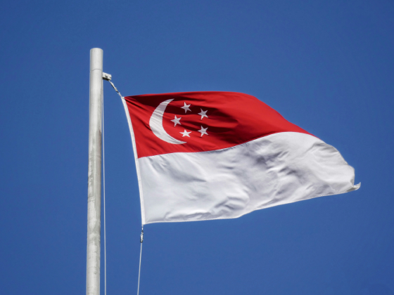 Exporting to Singapore: What You Need to Know